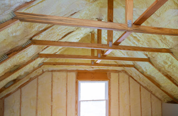 Best Commercial Insulation in Mount Ida, AR