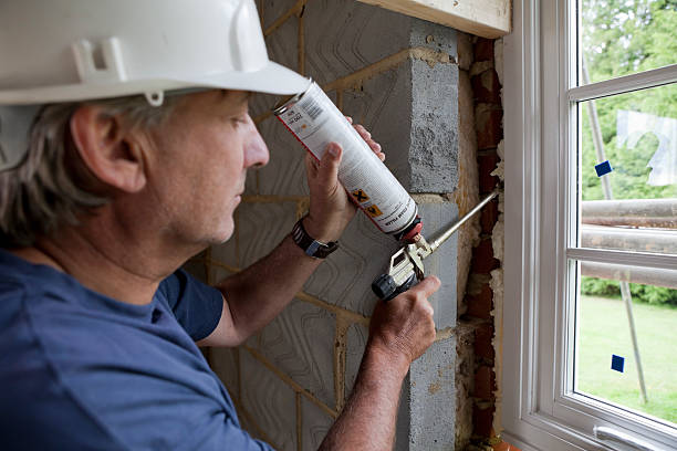 Best Insulation Maintenance and Repair in Mount Ida, AR